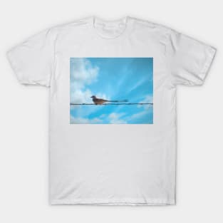 Scissortail Flycatcher T-Shirt